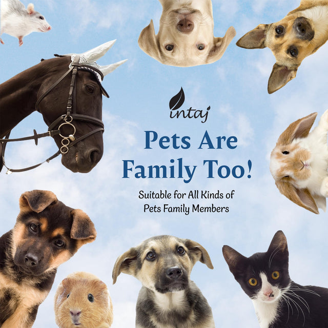 Handcarved Wooden Cremation Urn – Tree of Life – Suitable for Adults – 640lbs Capacity