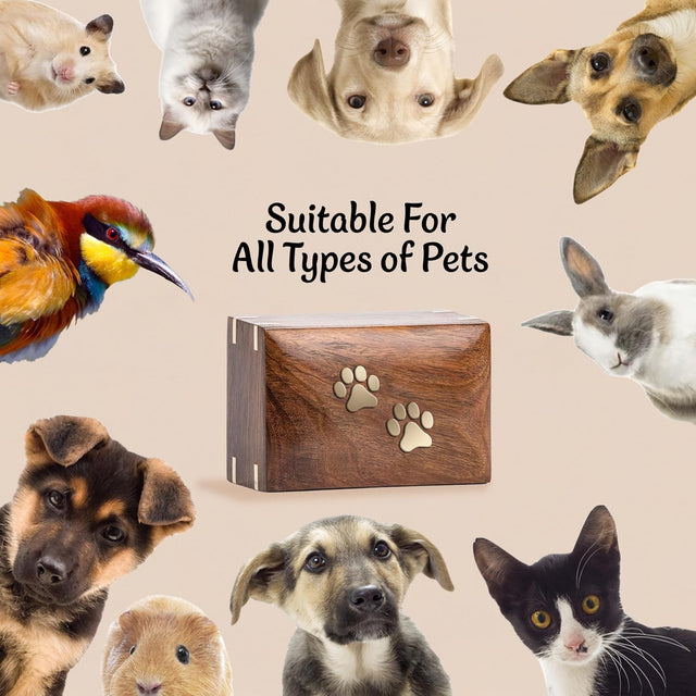 Handcarved Wooden Pet Cremation Urn – Two Paws Design – Suitable for Dogs & Cats – 6x4x2.75 Size