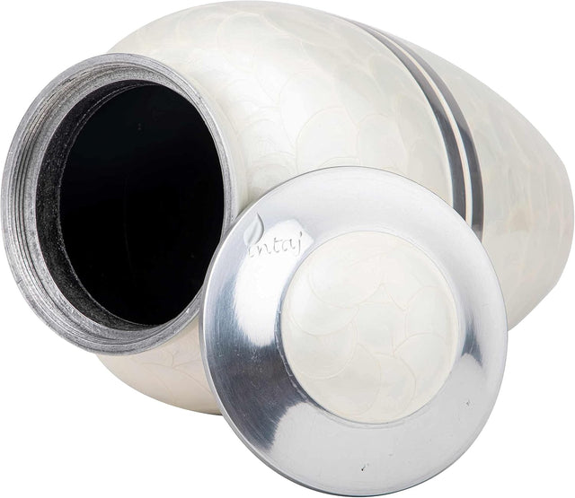 INTAJ Cremation Urn for Human Ashes Adult Male Female, Decorative Urns for Men Women, Large Burial Urn for Adult Ashes up to 250lbs (Adult upto 250lbs, Daisy White)