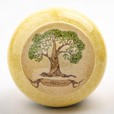 INTAJ Handmade Urn for Human Ashes - Tree of Life Wooden Urns Hand-Crafted - Funeral Cremation Urn for Ashes (Real Tree Turned, Adult)